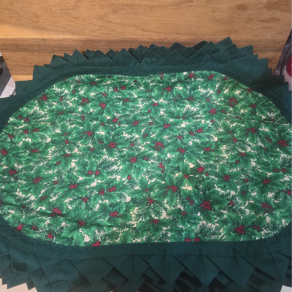 Poinsettia Holly Fabric Placemats Set of 6 Red Green Gold Christmas Holiday Read
